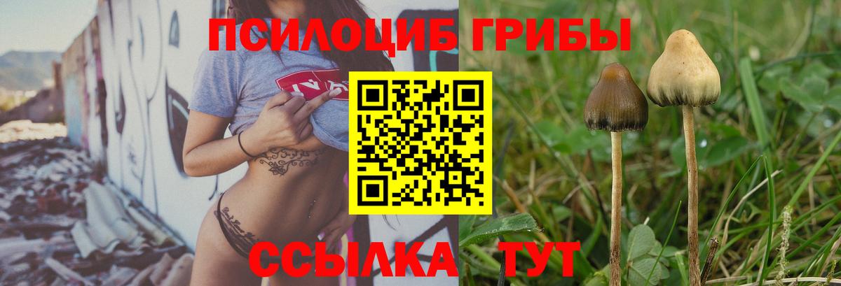 Галлюциногенные грибы Cubensis Волжский